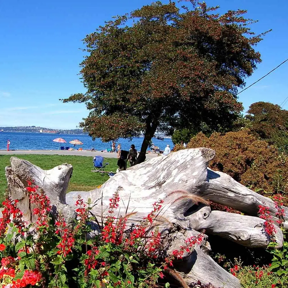 Seattle - Alki Beach Park