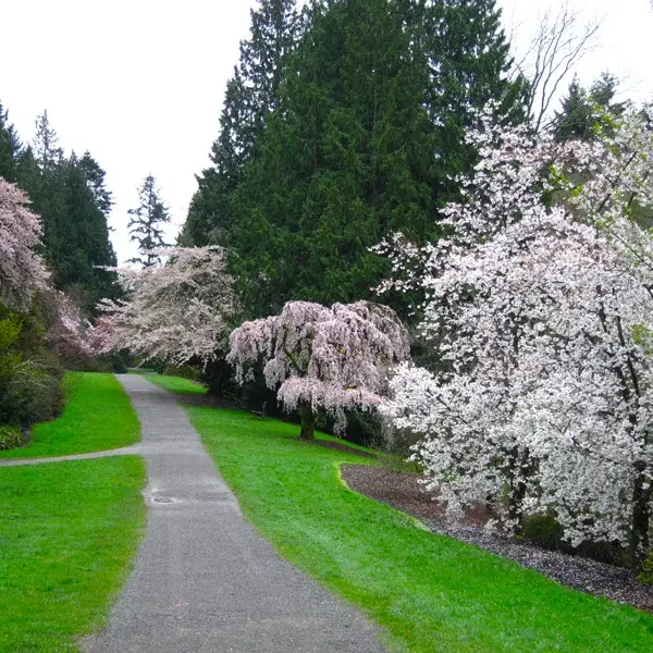 Seattle - Washington Park Arboretum